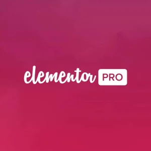 elementor pro aplicativo